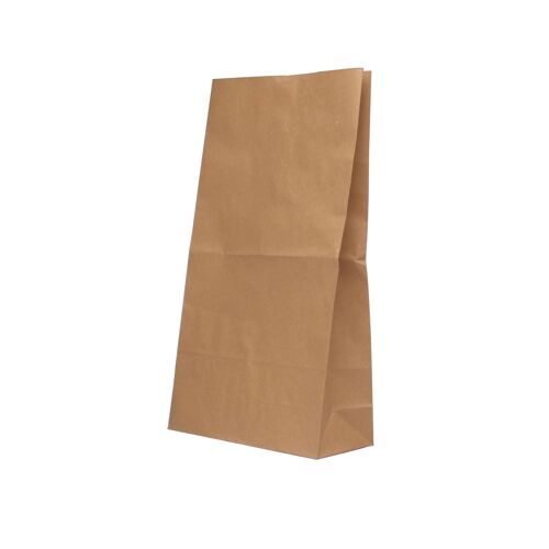 Paper+Bag+260x520mm+Brown+12.7kg+%28Pack+of+125%29+9430023